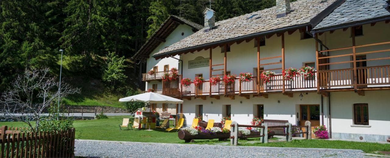 Dresalwoald Bed & Breakfast Gressoney-Saint-Jean Ngoại thất bức ảnh